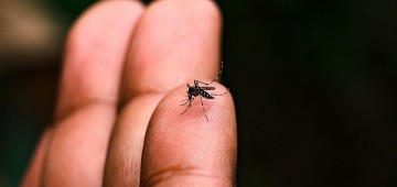 Ambulatório de Dengue registra quase 400 atendimentos em poucos dias de atividade