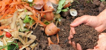 Curso gratuito de compostagem está com inscrições abertas