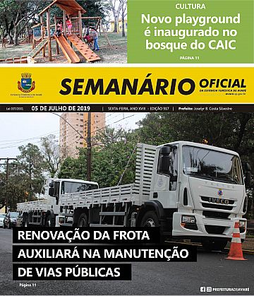 Semanário Oficial - Ed. 917